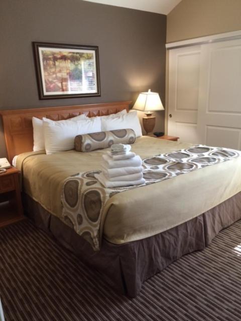 The Oasis Resort Palm Springs Rum bild